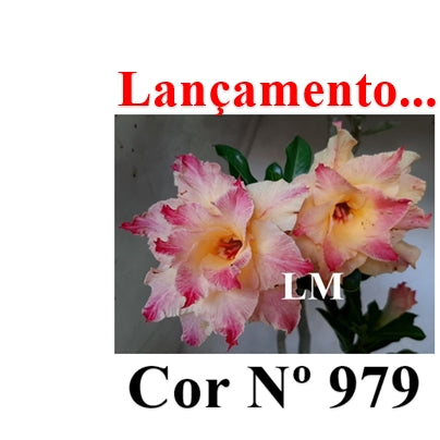 ENXERTO 12675 – 20cm (cor LM 979)