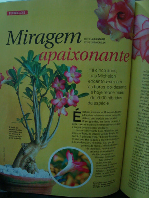 NA MIDIA