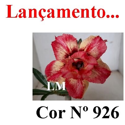 ENXERTO 12567 – 20cm (cor LM 926) - foto 8