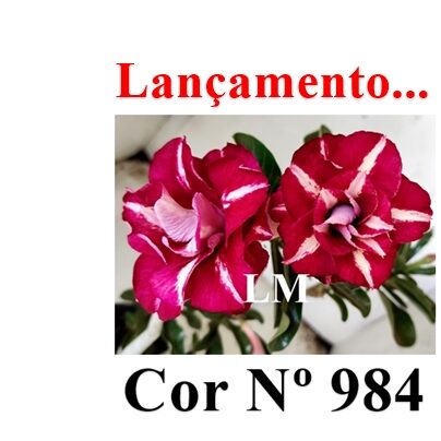 ENXERTO 12334 – 20cm (cor LM 984) - foto 9