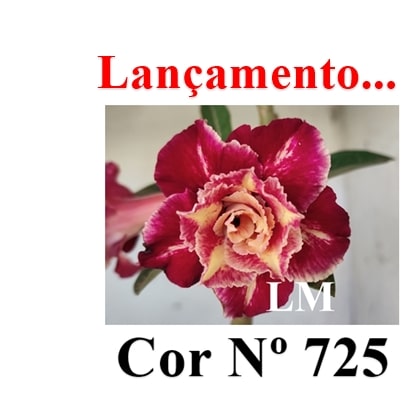 ENXERTO 11777 – 20cm (cor LM 725)