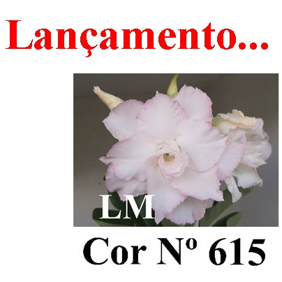 ENXERTO 12873 – 30cm (cor LM 615)