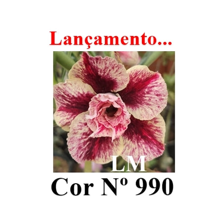 ENXERTO 12744 – 25cm (cor LM 990)