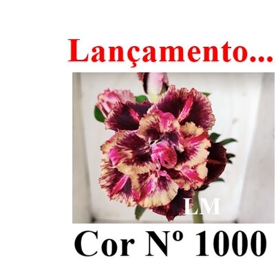 ENXERTO 11890 – 20cm (cor LM 1000)