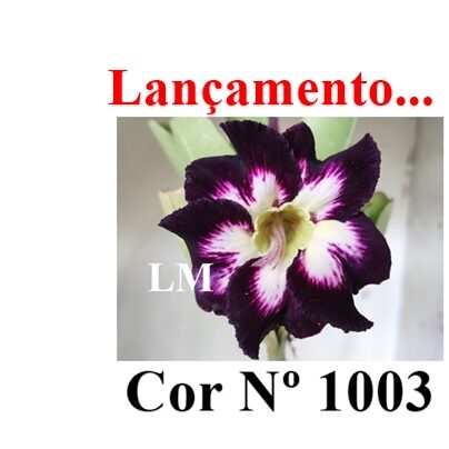 ENXERTO 12317 – 20cm (cor LM 1003) - foto 7