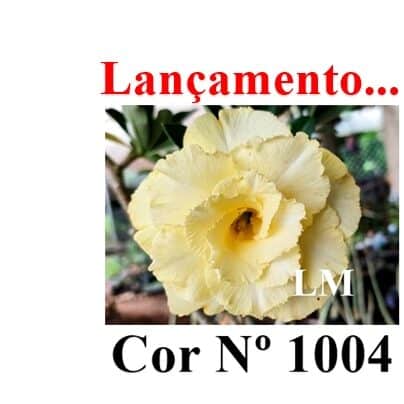 ENXERTO 12483 – 20cm (cor LM 1004) - foto 7