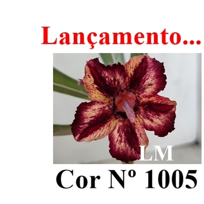 ENXERTO 12599 – 20cm (cor LM 1005) - foto 7