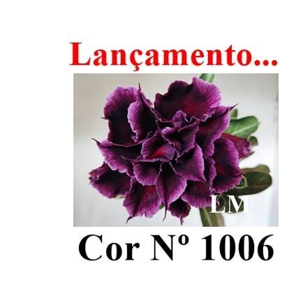 ENXERTO 11996 – 20cm (cor LM 1006)