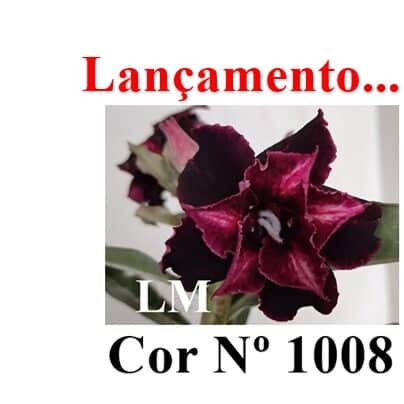 ENXERTO 12371 – 25cm (cor LM 1008) - foto 12