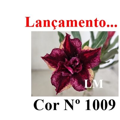 ENXERTO 12510 – 25cm (cor LM 499 e LM 1009) - foto 15