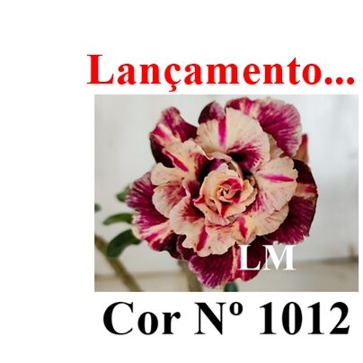 ENXERTO 12540 – 20cm (cor LM 1012) - foto 9