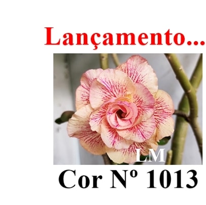 ENXERTO 12588 – 20cm (cor LM 1013) - foto 9