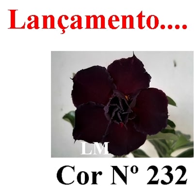ENXERTO 11726 – 20cm (cor LM 232)