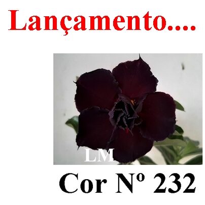ENXERTO 12120  – 20cm (cor LM 232) - foto 8