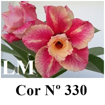 ENXERTO 11190 - 25cm (cor LM 330)