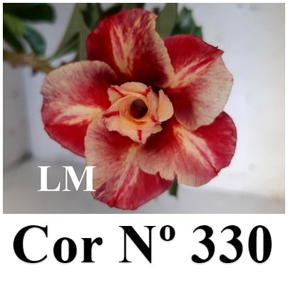 ENXERTO 11627 – 30cm (cor LM 330)