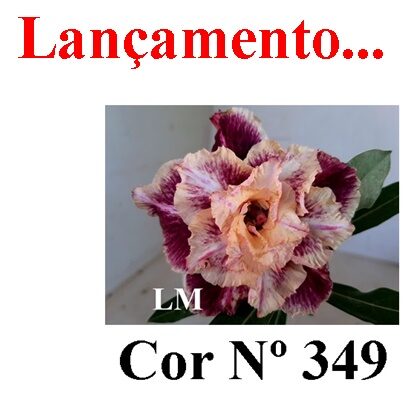 ENXERTO 12355 – 20cm (cor LM 349) - foto 7