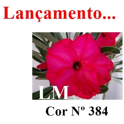 ENXERTO 12237 – 20cm (cor LM 384) - foto 6