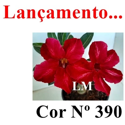 ENXERTO 11460 - 30cm (cor LM 390)