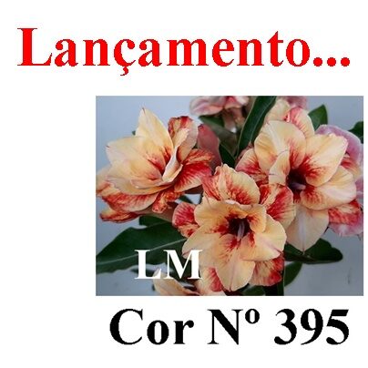 ENXERTO 12459 – 20cm (cor LM 395) - foto 7