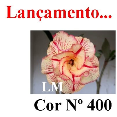 ENXERTO 11907 – 30cm (cor LM 400)
