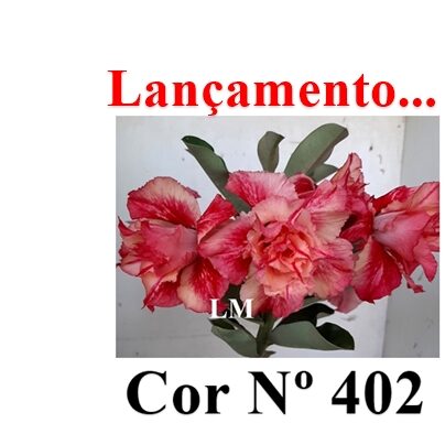 ENXERTO 12262 – 20cm (cor LM 402) - foto 8