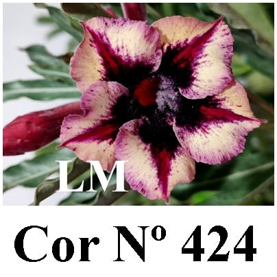 ENXERTO 12597 – 20cm (cor LM 424) - foto 7