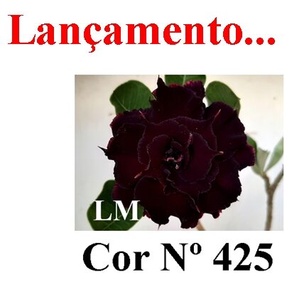 ENXERTO 11843 – 20cm (cor LM 425)