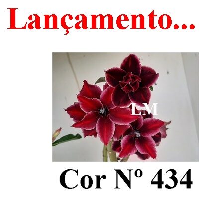 ENXERTO 12066 – 22cm (cor LM 434)