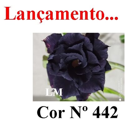 ENXERTO 12111  – 20cm (cor LM 442) - foto 7