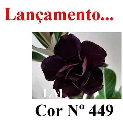 ENXERTO 11799 – 25cm (cor LM 449)