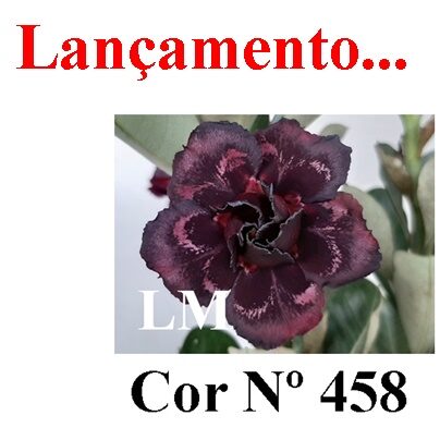 ENXERTO 12105  – 30cm (cor LM 458) - foto 8