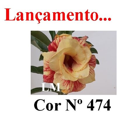 ENXERTO 12530 – 20cm (cor LM 474) - foto 8