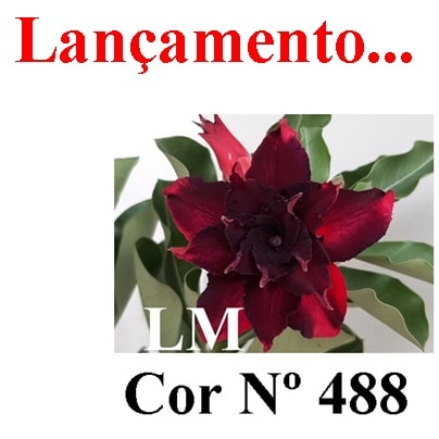 ENXERTO 11420 – 30cm (cor LM 488)