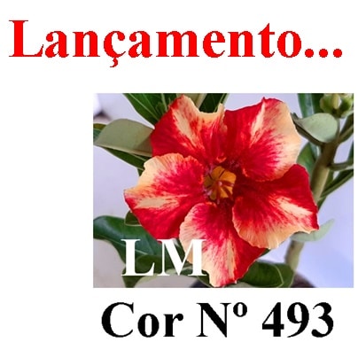 ENXERTO 10561 – 35cm (cor LM 493)
