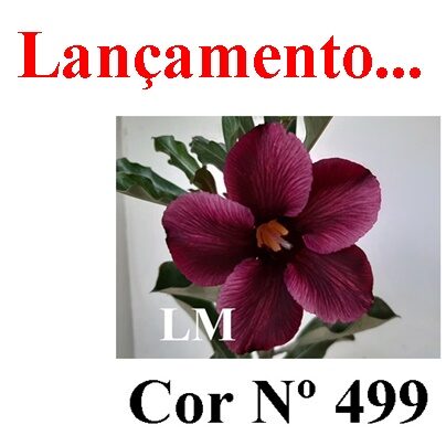 ENXERTO 12378 – 20cm (cor LM 499) - foto 6