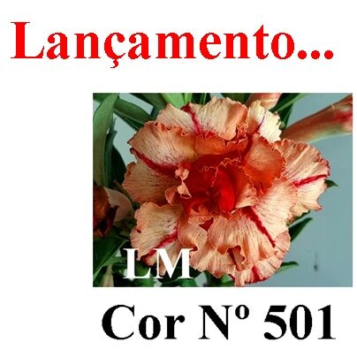 ENXERTO 12076 – 20cm (cor LM 501)
