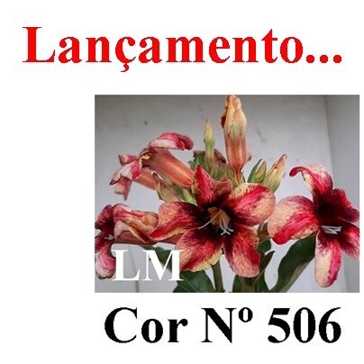ENXERTO 11862 – 20cm (cor LM 506)