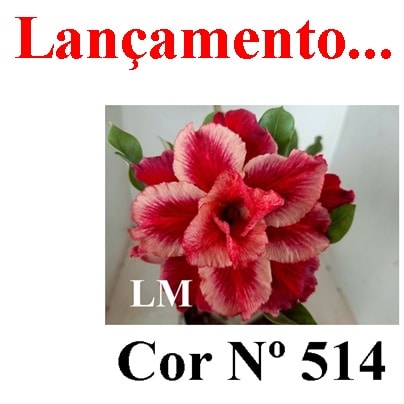 ENXERTO 11674 – 30cm (cor LM 514)