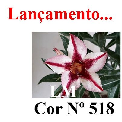 ENXERTO 11951 – 20cm (cor LM 518)
