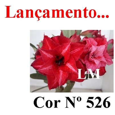 ENXERTO 11914 – 30cm (cor LM 526)