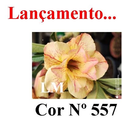 ENXERTO 11918 – 25cm (cor LM 557)
