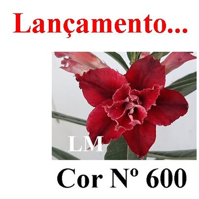 ENXERTO 12309 – 30cm (cor LM 600) - foto 9
