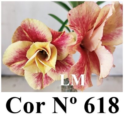 ENXERTO 12301 – 20cm (cor LM 618) - foto 8