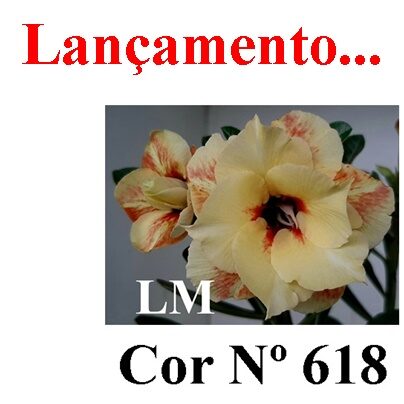 ENXERTO 11877 – 20cm (cor LM 618)