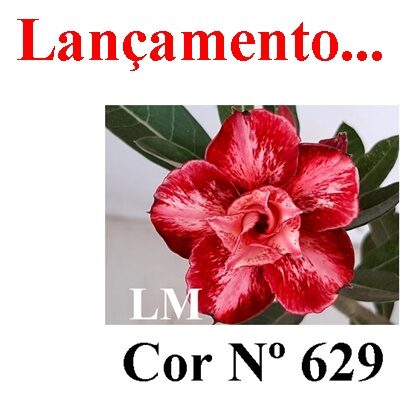 ENXERTO 11956 – 20cm (cor LM 629)