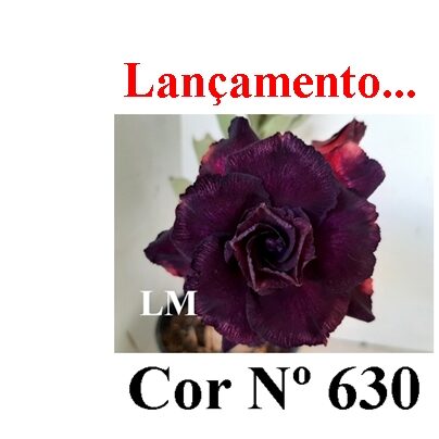 ENXERTO 11870 – 30cm (cor LM 630)