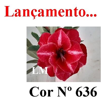 ENXERTO 11921 – 40cm (cor LM 636 e LM 848)