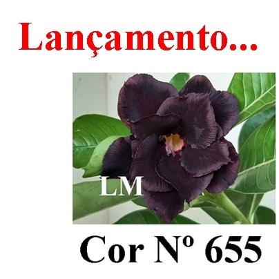 ENXERTO 7428 – 22cm (cor LM 655)