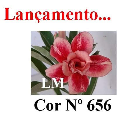ENXERTO 7887 – 20cm (cor LM 656)